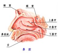 專家介紹早泄治療的癥狀