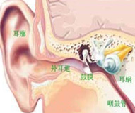 慢性化膿性前列腺炎